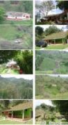 Se arrienda finca en Sopetrán - Finca a Sopetran, Antioquia